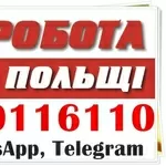 На виробництва Польщі,  потрібні чоловіки та жінки. Ваканcії.