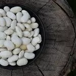 Закупівля квасолі на переробку,  консервування