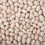 Насіння квасолі. Доставка. Форвардні контракти