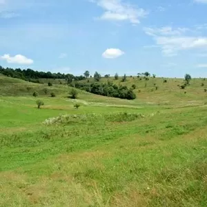 Куплю земельну ділянку. Рівне,  без посередників.