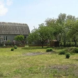 Ново Українка,  земельна ділянка. Власник. 4500