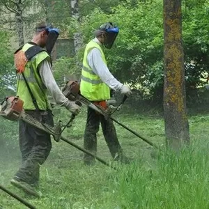 Стрижка газонів,  покос трави. Рівне.