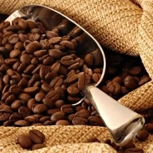 Продам каву в зернах Рівне