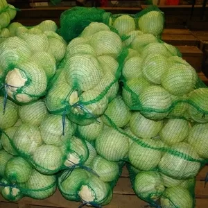 Продам капусту белокочанную. Урожай 2015. Без ГМО и мех. повреждений