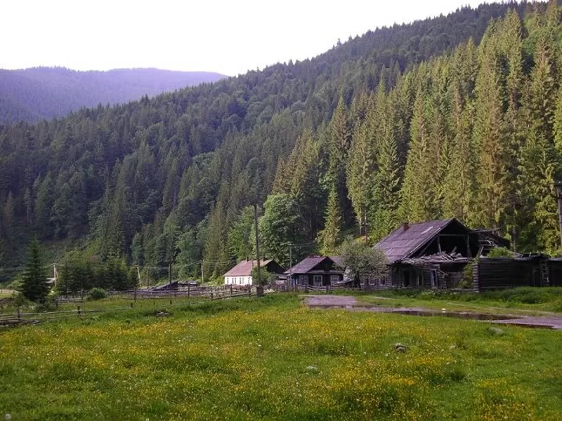 ТренІнг в Карпатах 