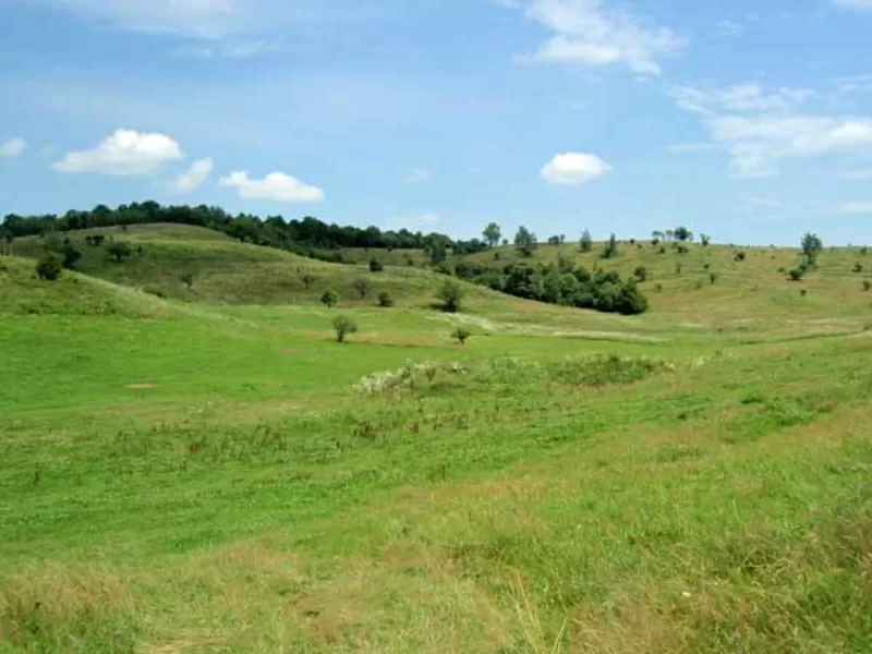 Куплю земельну ділянку. Рівне,  без посередників.