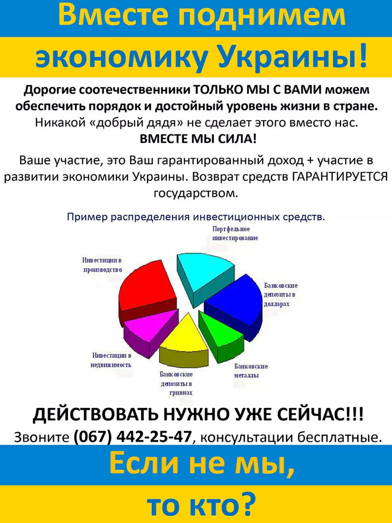 Государственные инвестиционные программы 