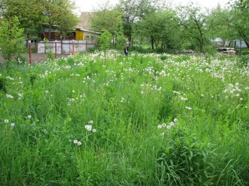 Продам хорошу ділянку в центрі дачного масиву Нова Українка