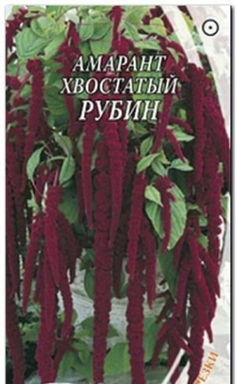 Насіння амаранту хвостатого «Рубін»