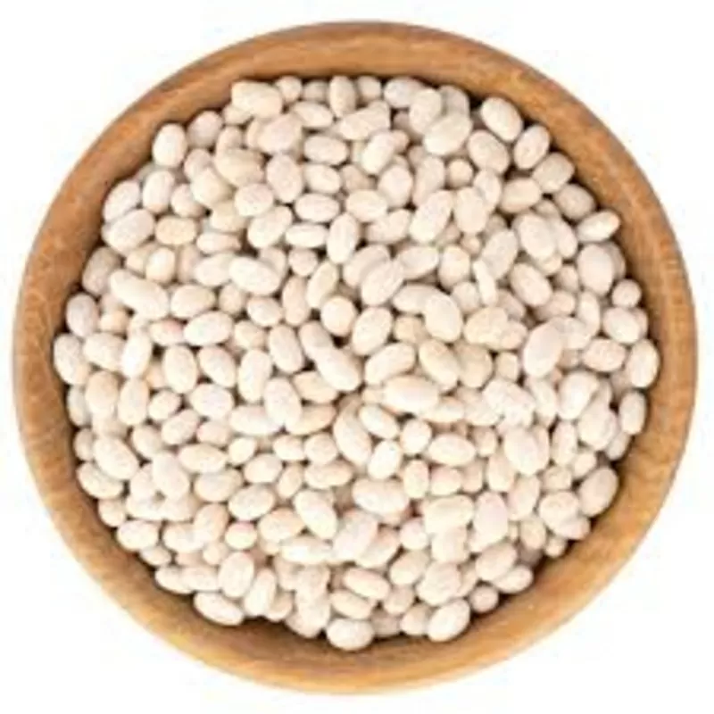 Куплю квасолю. Приймаємо квасолю для консервації